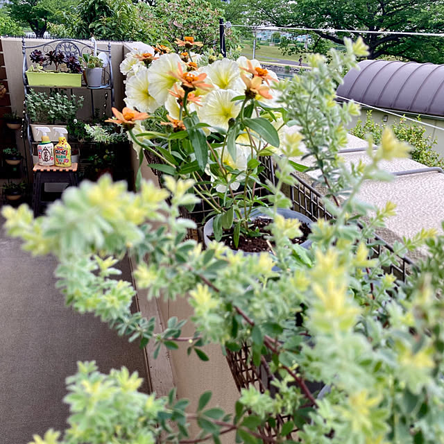 marukoさんの部屋