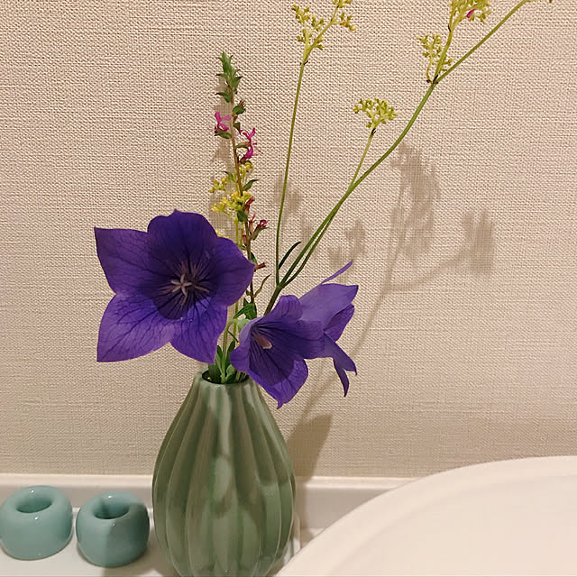 springbreezeさんの実例写真