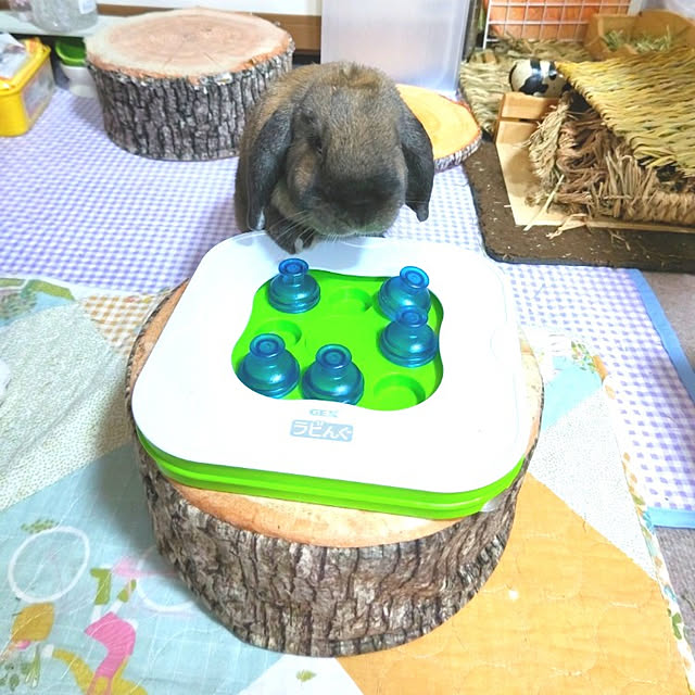 mariaさんの実例写真