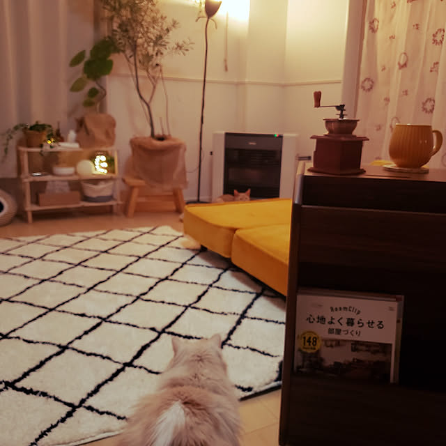 megu.catさんの実例写真