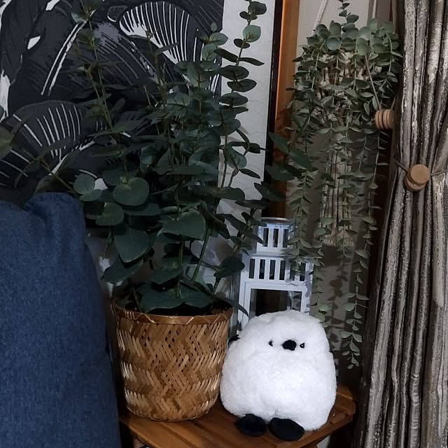 Bohomeさんの実例写真
