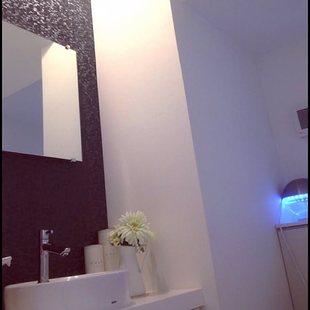 バス/トイレのインテリア実例 - 2015-05-10 09:05:33