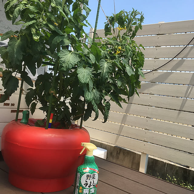 PEKO3_3さんの実例写真