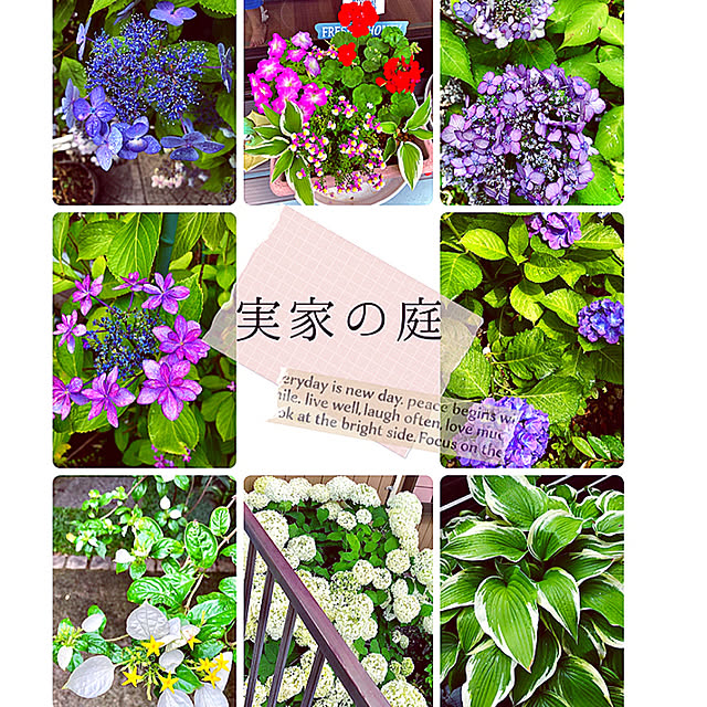 hinamamaさんの実例写真