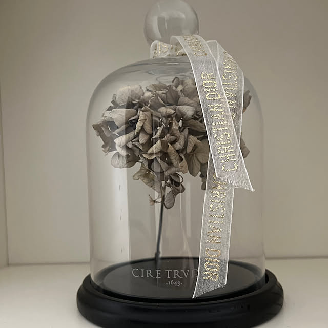 ドライフラワー ガラスドームのおすすめ商品とおしゃれな実例  