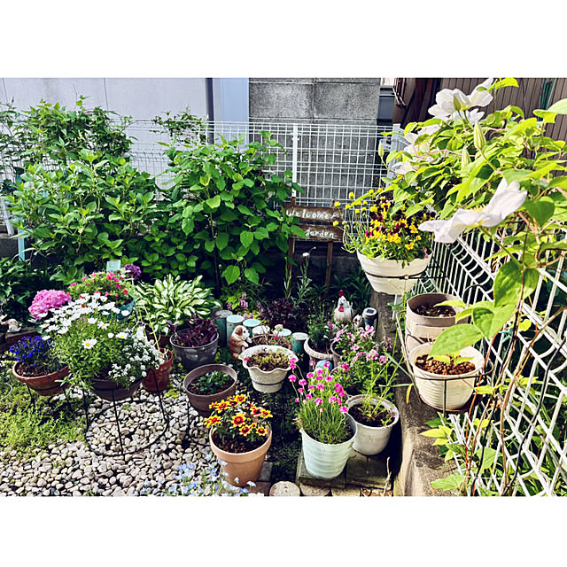 CoCo0617さんの部屋