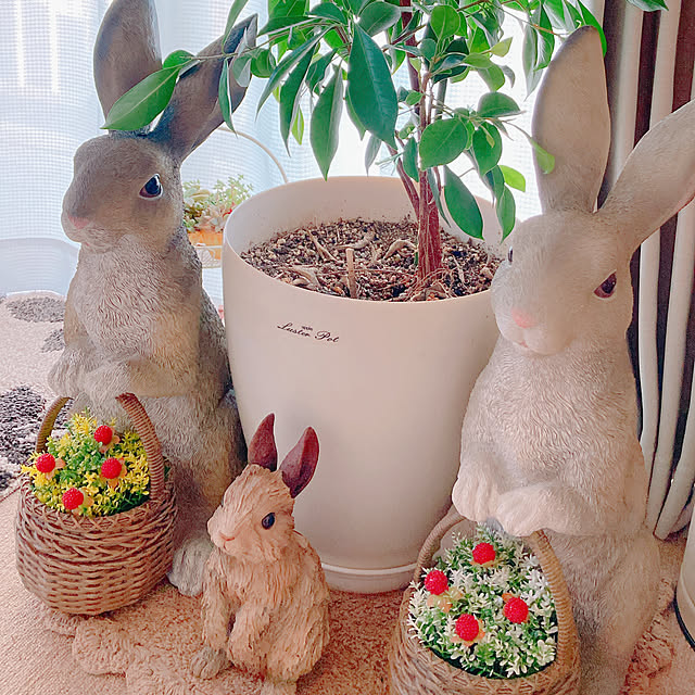 Hanakaさんの部屋