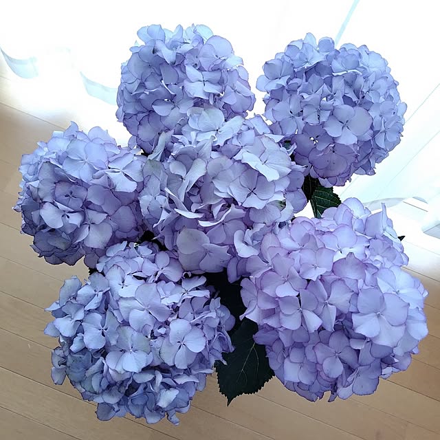 katさんの部屋
