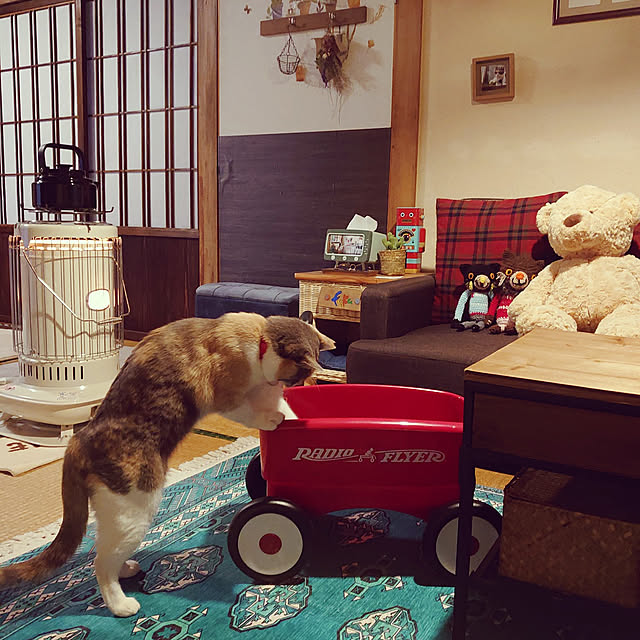 fukuさんの実例写真