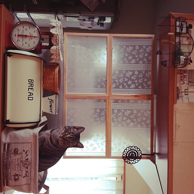 maoshinさんの実例写真