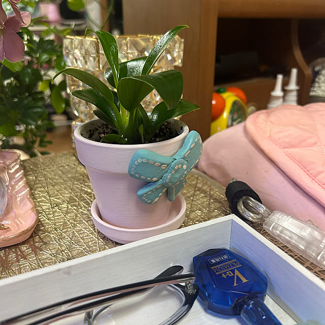 DIY女子/DIY/ダスティグリーン/観葉植物に癒やされてます✮/観葉植物...などのインテリア実例 - 2023-04-14 18:40:53