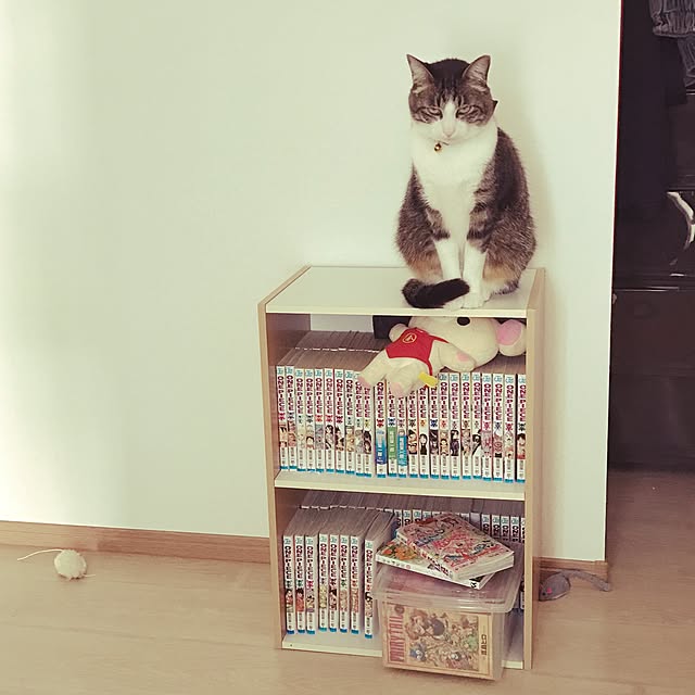 miruさんの実例写真