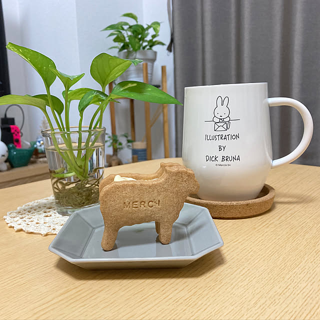 gumiさんの実例写真