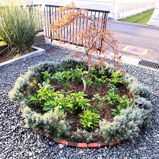 NSDさんの実例写真