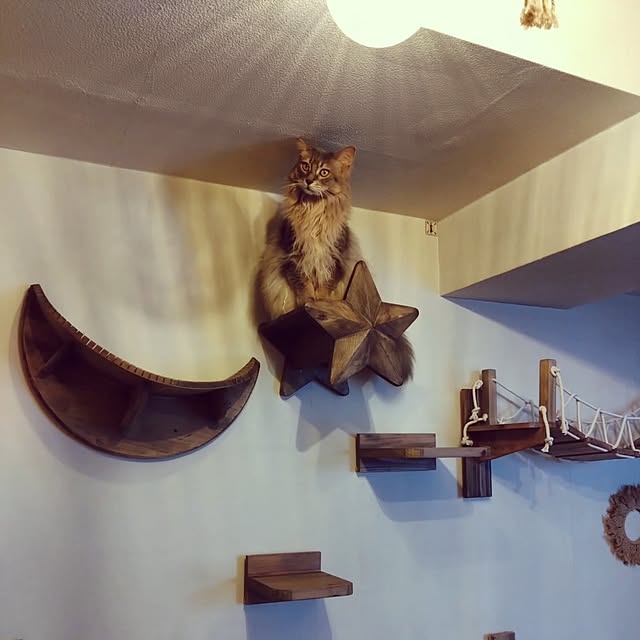 luke.solさんの実例写真