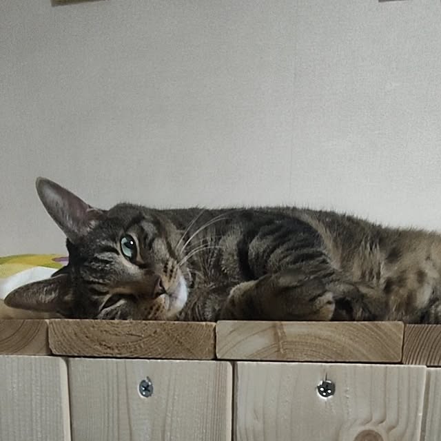 mori_6_12さんの実例写真