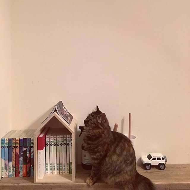 mikomaruさんの実例写真