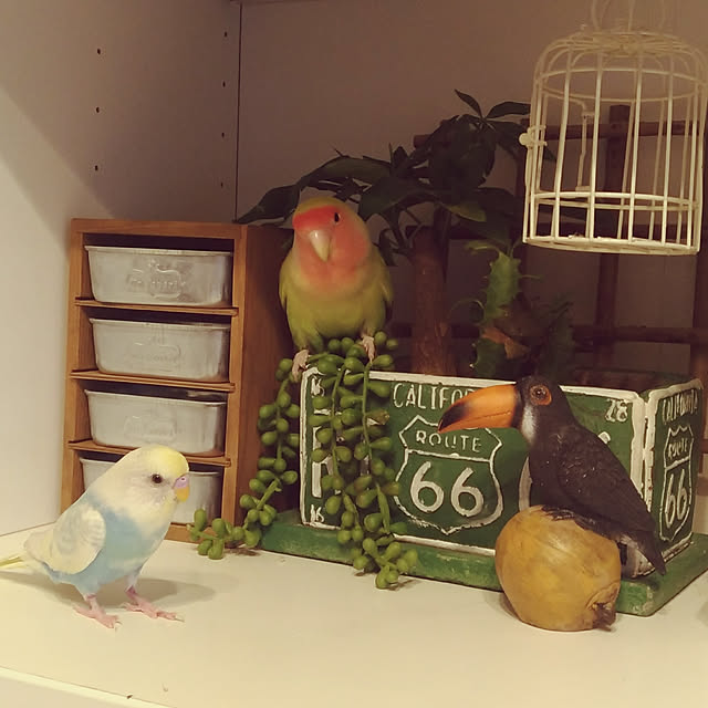 yukkieさんの実例写真