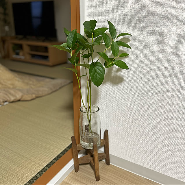 sutereoさんの実例写真