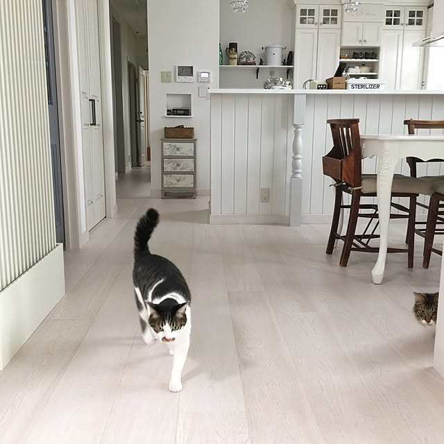 yuchiさんの実例写真
