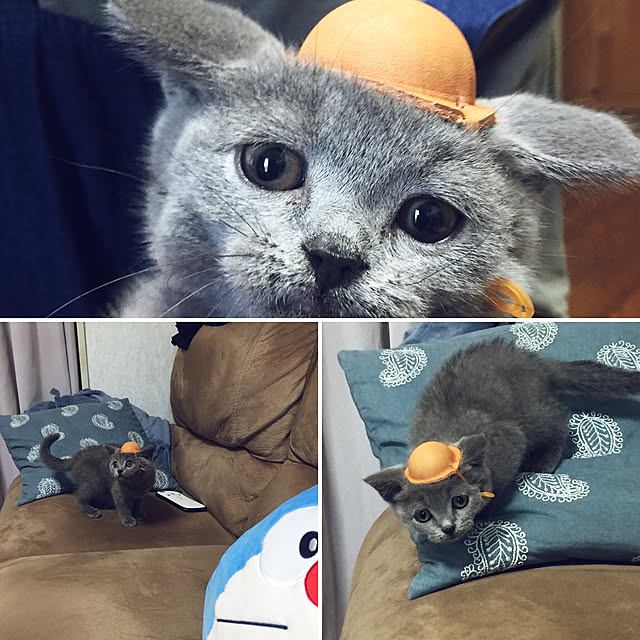 実例写真