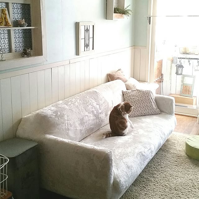 mikiさんの実例写真