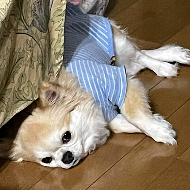natsumiさんの部屋