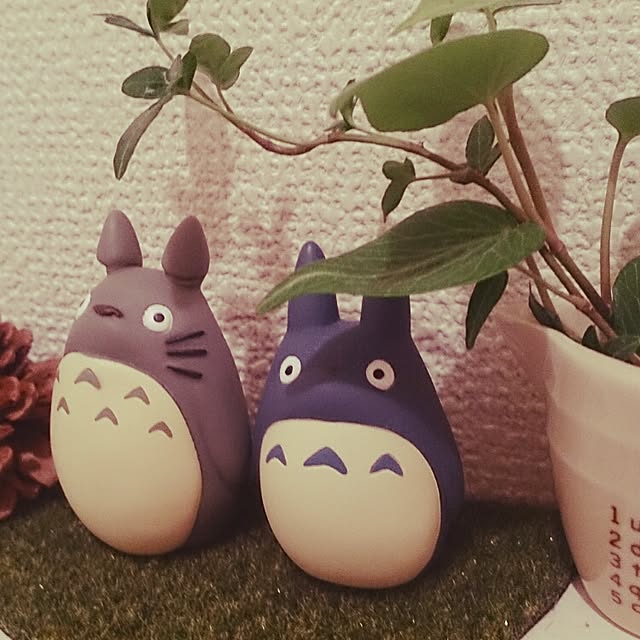 kaanaさんの実例写真