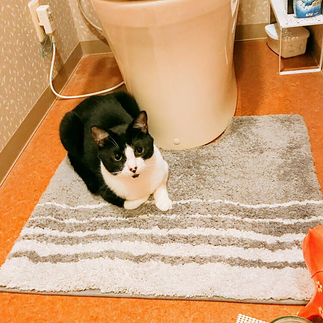 okyosan101さんの実例写真