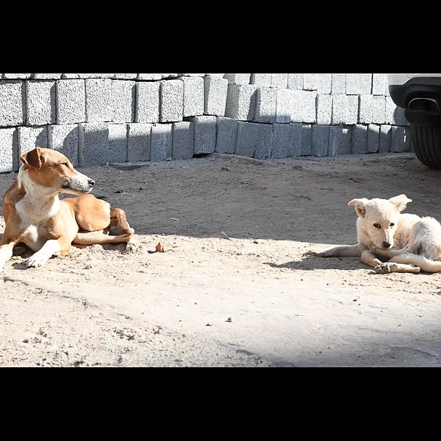 aaaaaa1121111112さんの実例写真