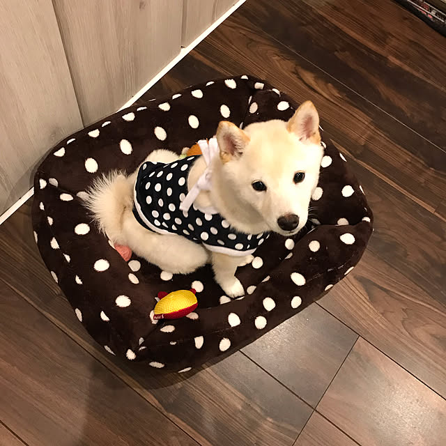 Nicoleさんの実例写真
