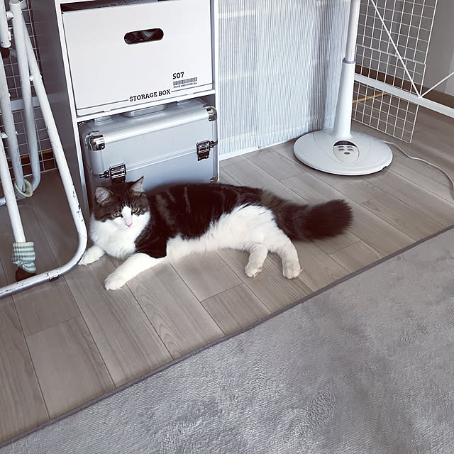 asuさんの実例写真