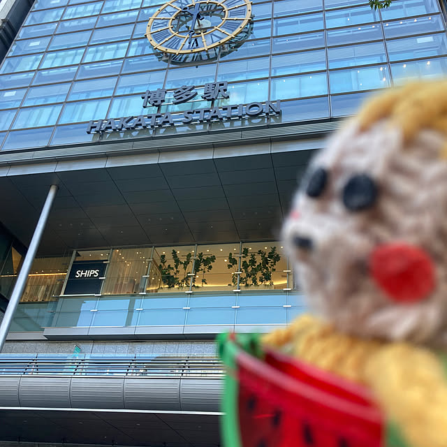 manduonmaさんの実例写真