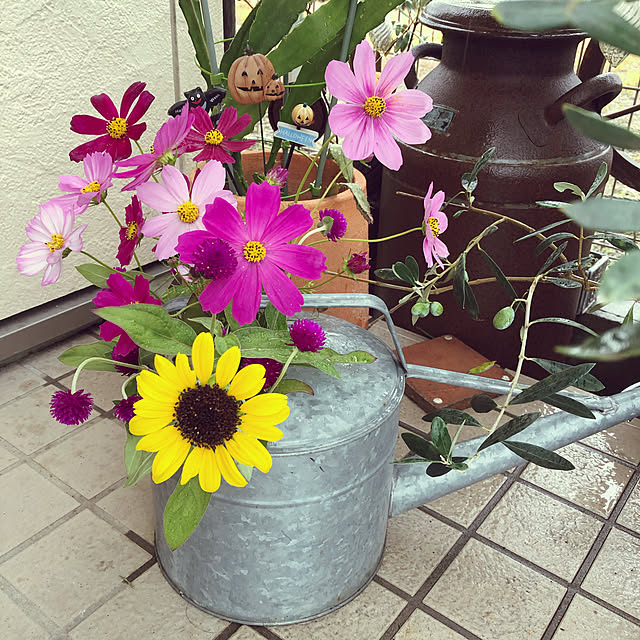 mkさんの実例写真