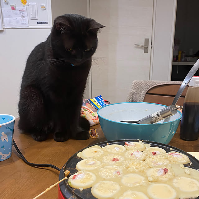 okapiさんの部屋