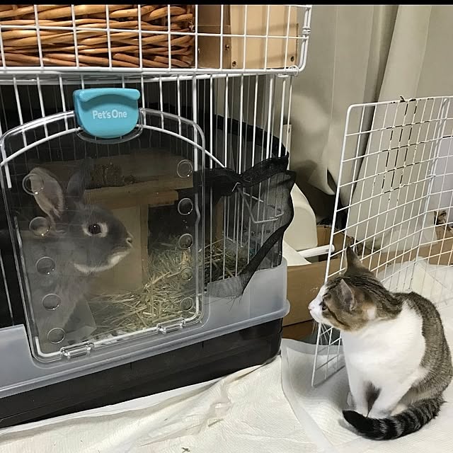mori_6_12さんの実例写真
