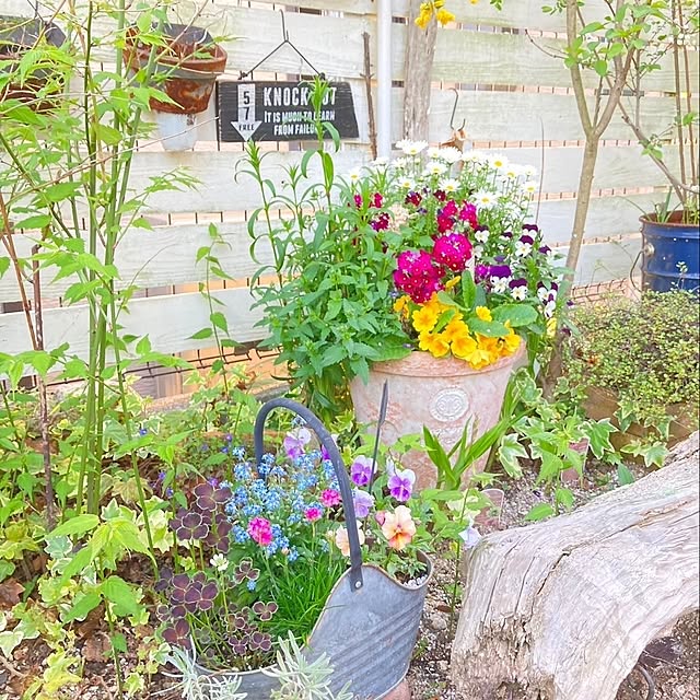min_nimさんの実例写真