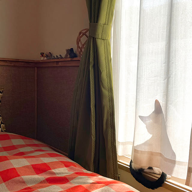 nobikoさんの実例写真