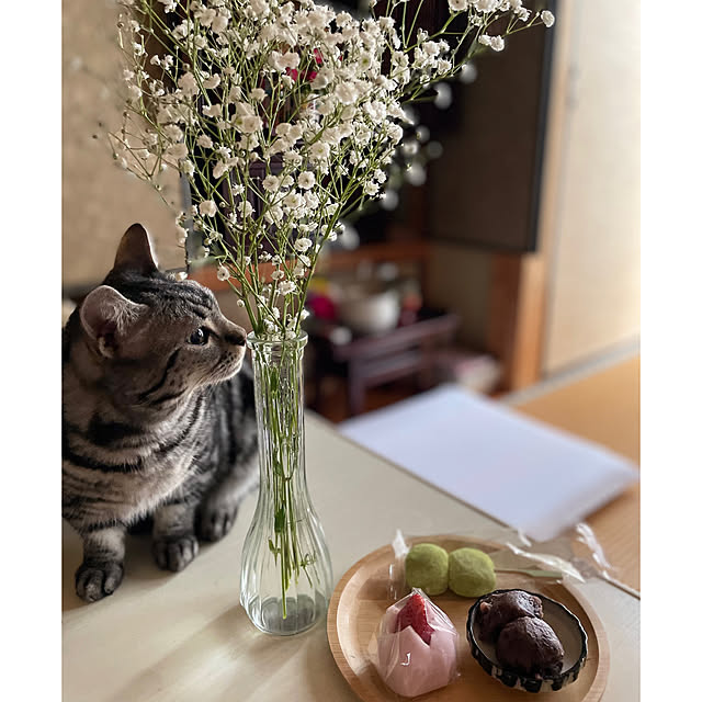 yumiさんの実例写真