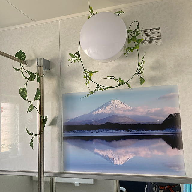 tyo.0116yamaさんの実例写真
