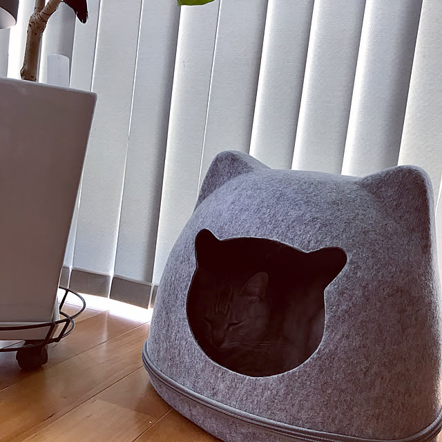 maroさんの実例写真
