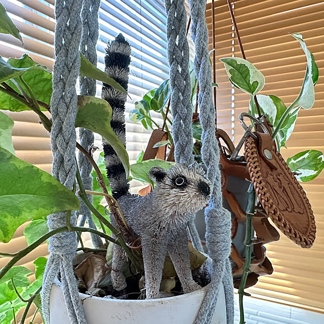 mizucchiさんの部屋