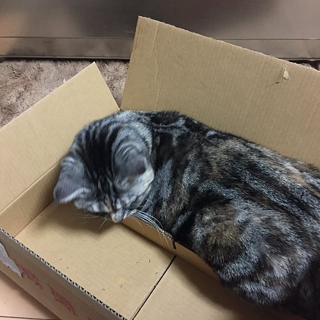 haruさんの実例写真