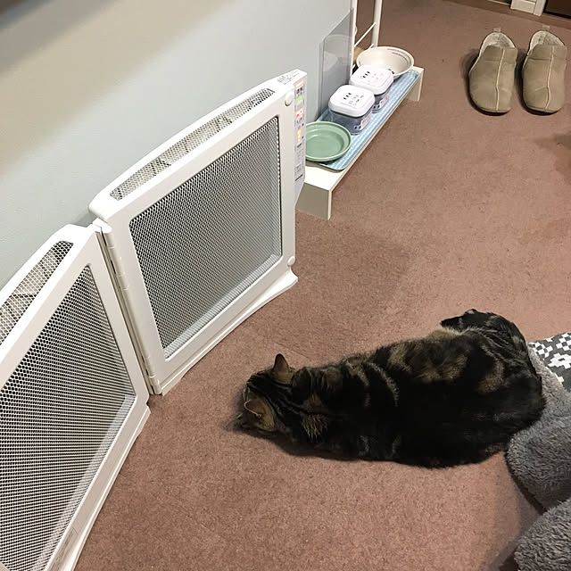 mikomaruさんの実例写真