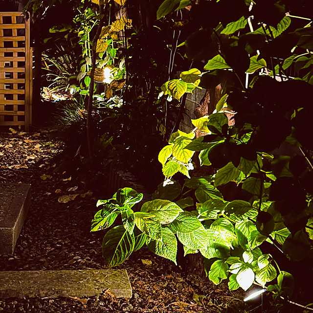 chacoさんの部屋