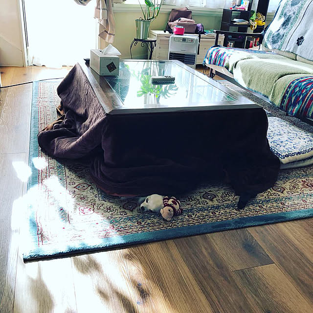 Emiさんの実例写真