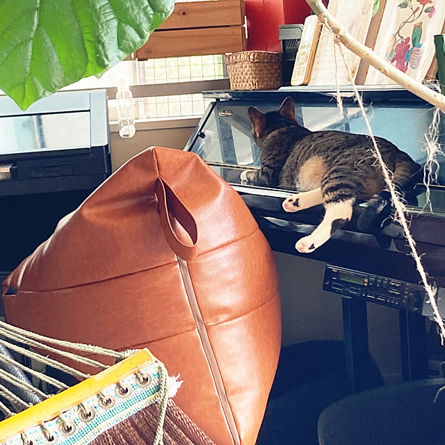 suemonta14さんの実例写真