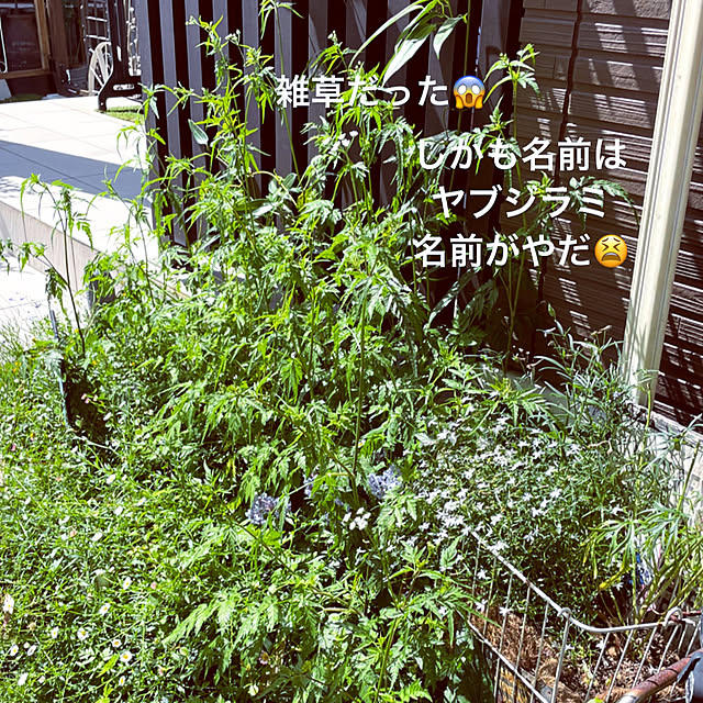 mayumiさんの部屋