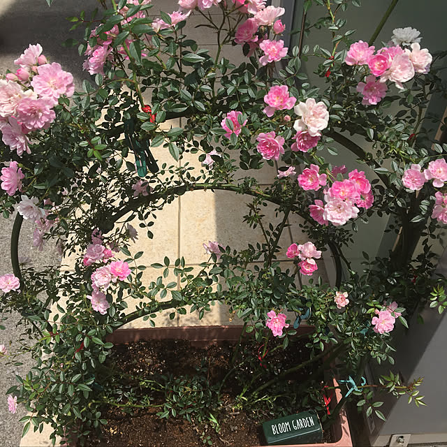 YOKOさんの実例写真
