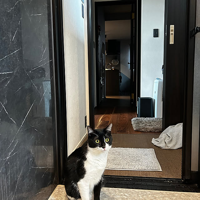 porinさんの実例写真
